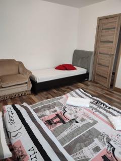 APARTAMENT HD ELI - Hunedoara - 7