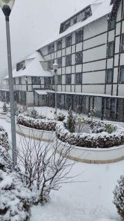 Apartman Jelka Brzece - 4