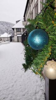 Apartman Jelka Brzece - 2