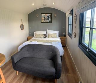 Springwood Shepherd Huts Glamping York - York - 5