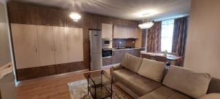 Monica City Apartament - Timişoara - 4
