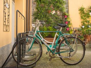 La Corte di Zizi - 1