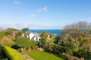 Puffins - St Ives - 7