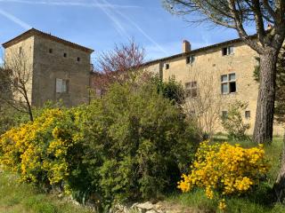 Château de Mézerville - 9