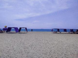 HERMOSO Apartamento con piscina y cerca a PLAYA. - Santa Marta - 5