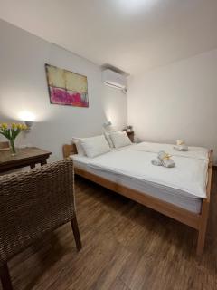 Villa Klara - Novi Sad - 3
