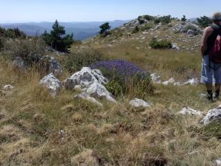 Gîte La Foux de Peyroules - Peyroules - 3