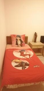 PETIT APPARTEMENT - Perpignan - 5