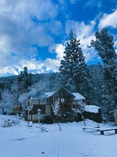 Zevibes Cafe & Homestay - Kalgha - 2