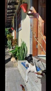 Sítio e Pousada Recanto Dos Ipês - 5