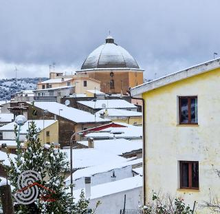 le Rose di santina - 1