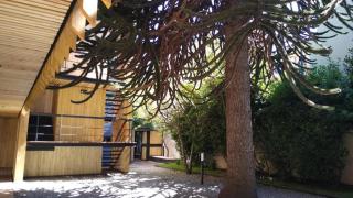 Vivero 5, departamento 5 - San Martín de los Andes - 8