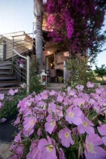 bougainvillea house 1 - 4