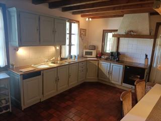 18th-century farmhouse near Poitiers and Chinon - Frontenay-sur-Dive - 6