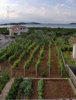 Apartments Antonela with seavies - Tribunj - 3