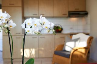 Ferienwohnung Ober - Prien am Chiemsee - 4