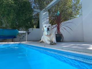 Silverspring Hideaways - Constantine - 6