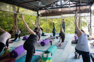 Ambong Rainforest Retreat - 1