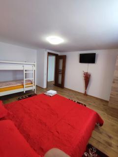 Casa Daiana - Toplița - Topliţa - 5