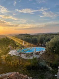 La Falconara - Montepulciano - 6