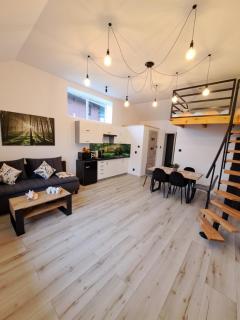 Apartament z antresolą - 1