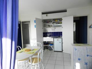 Charmant studio avec piscine à La Rochelle, proche port des Minimes, commerces et bus - FR-1-551-30 - La Rochelle - 1