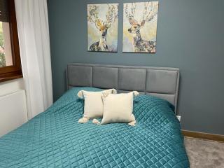 Apartament Sosnowy Zakątek - Gliwice - 3