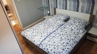 Seehund-Lilly - Wilhelmshaven - 0