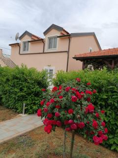 Villa Verbena - Mala Čista - 4