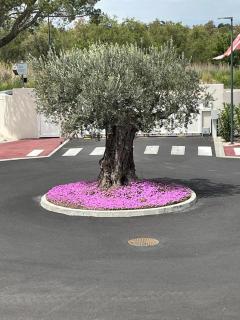 Au cœur du Golf, appartement neuf vue golf et piscine - Clim Wifi parking - 9