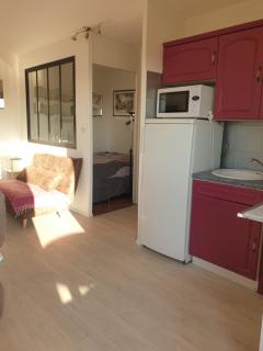 T2 vue mer avec parking privé - Saint Pierre La Mer - 1