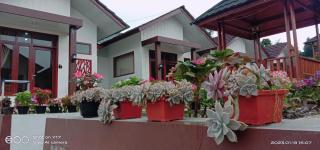 Villa madinna dieng - Dieng - 7