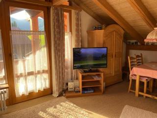 Ferienwohnungen Wagner inkl. Chiemgaukarte - 4