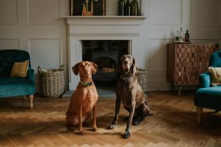 Dacre House, Gilsland - 8