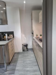 L'Ourse, Epinal,très bel appartement quartier Port - Épinal - 9