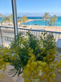 Etoile de mer - Menton, Garavan - Mentone - 0