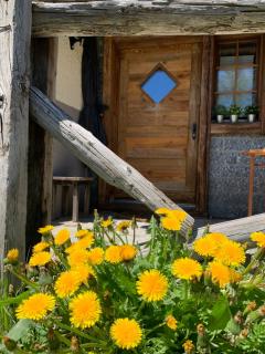 Châlet Birkhahn - Saas-Fee - 1