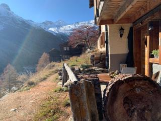 Châlet Birkhahn - Saas-Fee - 5