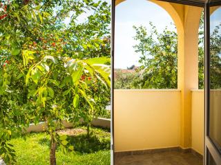 Olive Tree Apartments - Split - 5