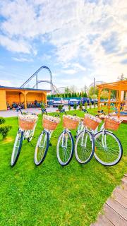 Holiday Park Zator Resort & Spa - Zator - 1