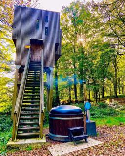 L'étape en forêt - Saint-Sever-Calvados - 3