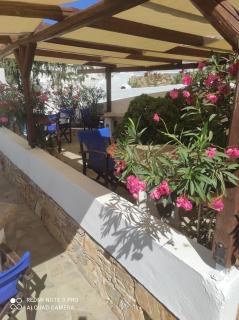 Lucas B Panorama - Alopronia - 8