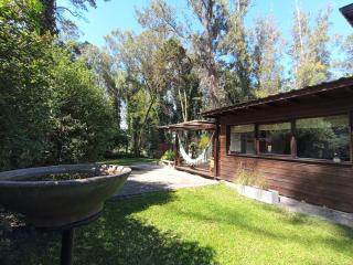 Casa Tierra de Bosque - Mar del Plata - 8