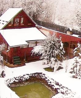 Cabana Cheile Valisoarei - Vălişoara - 3