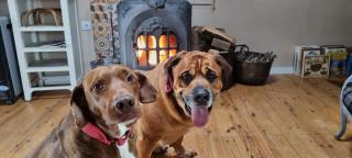 Casasdetrevijano Mirador de Mateo - 4