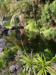 El Time - Tijarafe - 0