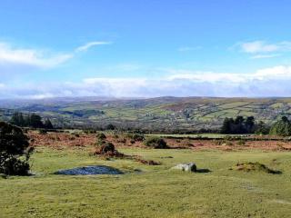 Lower Hameldown-Uk12424 - Widecombe in the Moor - 5