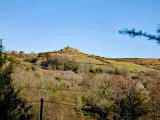 Lower Hameldown-Uk12424 - Widecombe in the Moor - 4