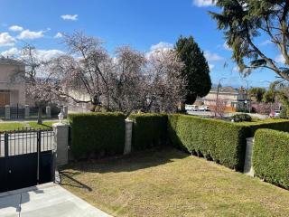 Adorable 2-Bedroom Basement in Vancouver - 8