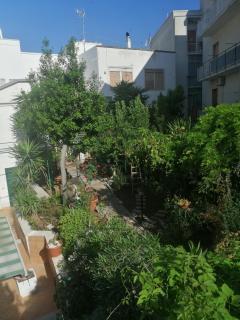 Il Giardino della Nonna - 0